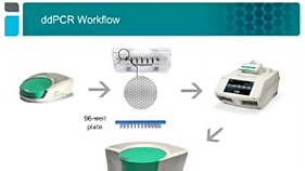Droplet DIgital PCR Tips and Tricks: ddCPR Assay Design Webinar Cover