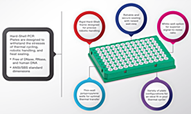 5 Considerations for PCR Plate Selection