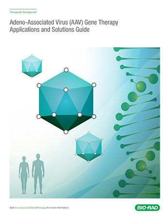 Adeno-Associated Virus Gene Therapy Applications and Solutions Guide