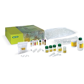 Mammals, Insects, and Fungi DNA Barcoding Kit with Agarose and TAE