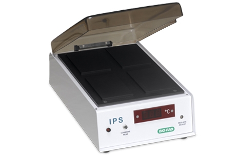 IPS Microplate Incubator