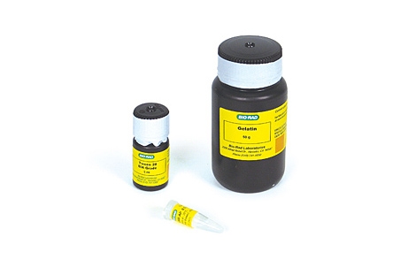 Immun-Blot® AP Colorimetric Kits