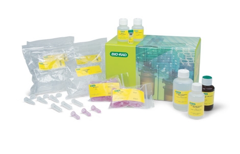 Aurum™ Total RNA Fatty and Fibrous Tissue Kit