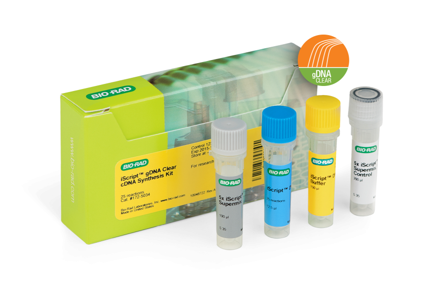 iScript™ gDNA Clear cDNA Synthesis Kit