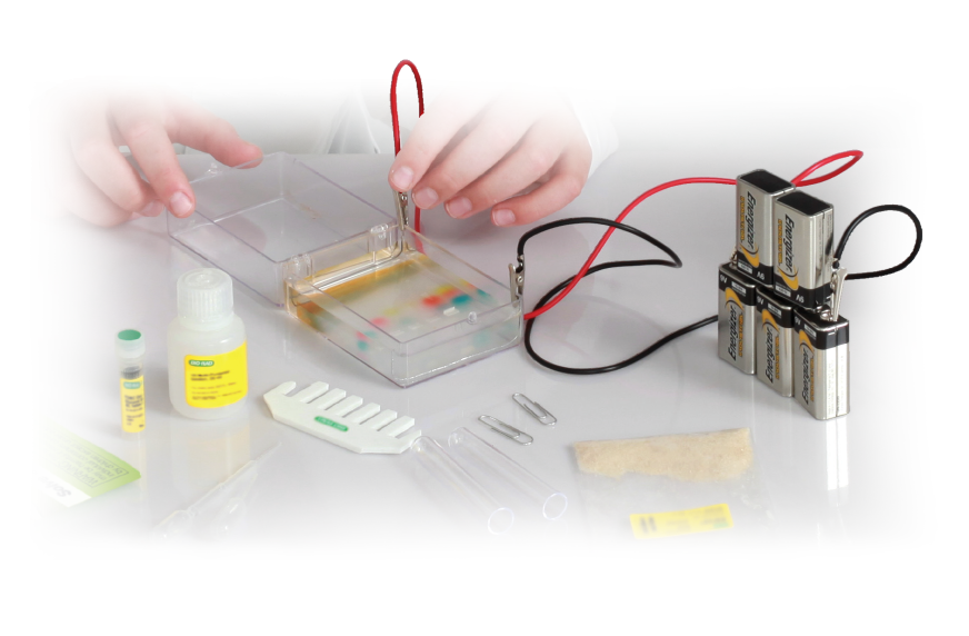 STEM Electrophoresis Kit