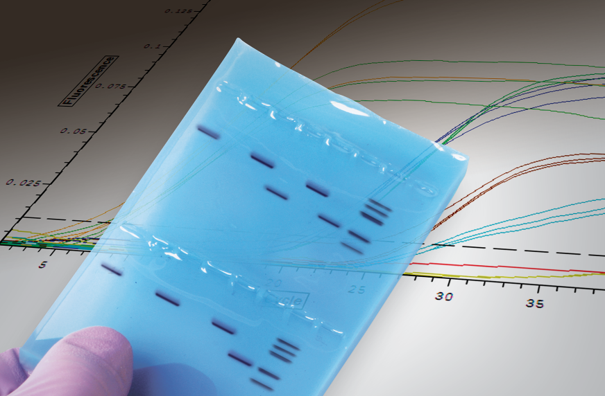 GMO Investigator Real-Time PCR Starter Kit