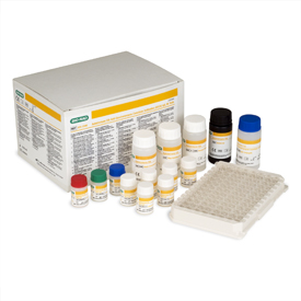 Anti-Saccharomyces Cerevisaie Antibodies IgG                              