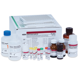GS HIV Combo Ag/Ab EIA