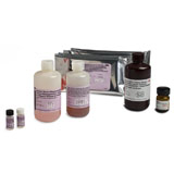 Ortho HCV Version 3.0 ELISA Stop Solution