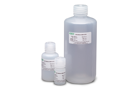 Anti-Carcinoembryonic Antigen (CEA)