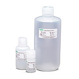 Breast Tumor Ag., CC, PP