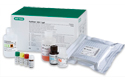 Herpes Simplex Virus (HSV): ToRCH Serology