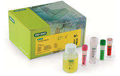 iQ-Check Vibrio Real-Time PCR Detection Kit