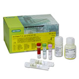 iQ-Check E.coli O157:H7 #357-8114