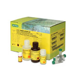 TeSeE Purification Kit #355-1144