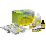 TeSeE Sheep/Goat Detection Kit #355-1166
