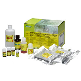 TeSeE SAP Detection Kit #355-1194