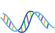 DNA & Genetics