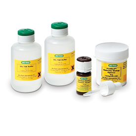 Small Ethidium Bromide DNA Electrophoresis Reagents Pack #166-0451EDU