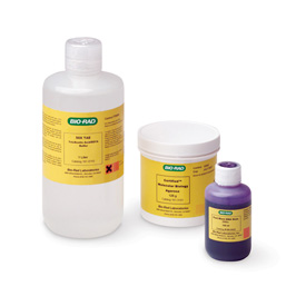 Medium Fast Blast&trade; DNA Electrophoresis Reagents Pack #166-0455EDU