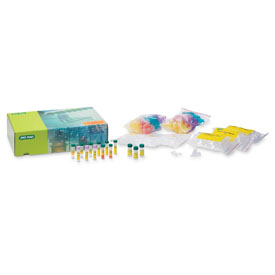 GAPDH PCR Module #166-5010EDU