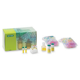 Ligation and Transformation Module #166-5015EDU