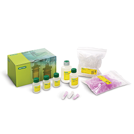 Aurum&trade; Plasmid Mini Purification Kit #732-6400EDU