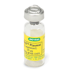 pGLO&trade; Plasmid #166-0405EDU