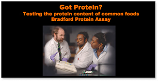 Got Protein? Kit