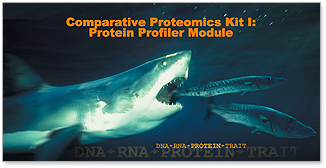 Comparative Proteomics Kit I: Protein Profiler Module