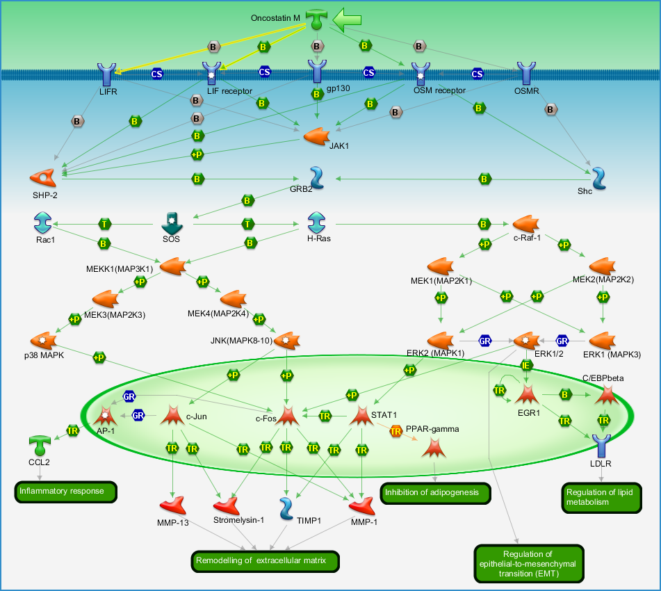photo_map