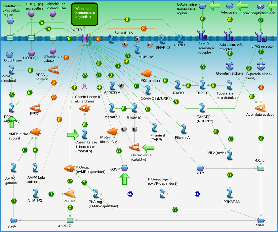 photo_map