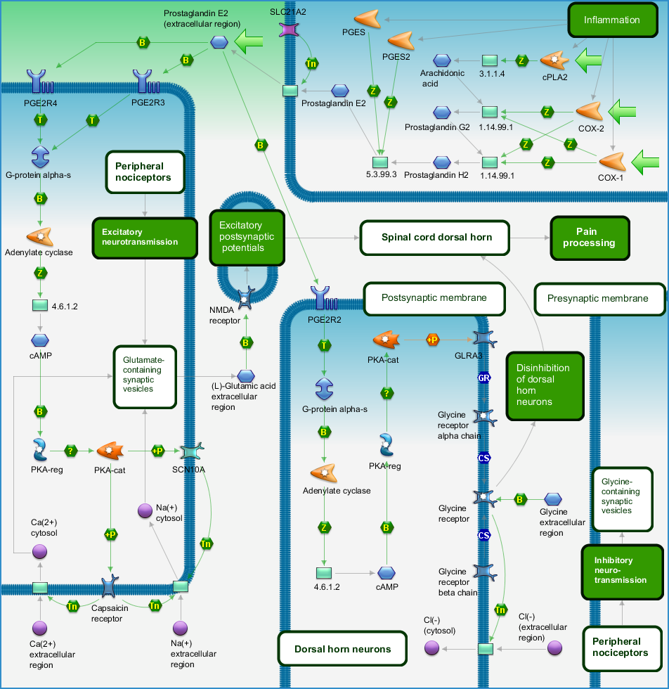 photo_map
