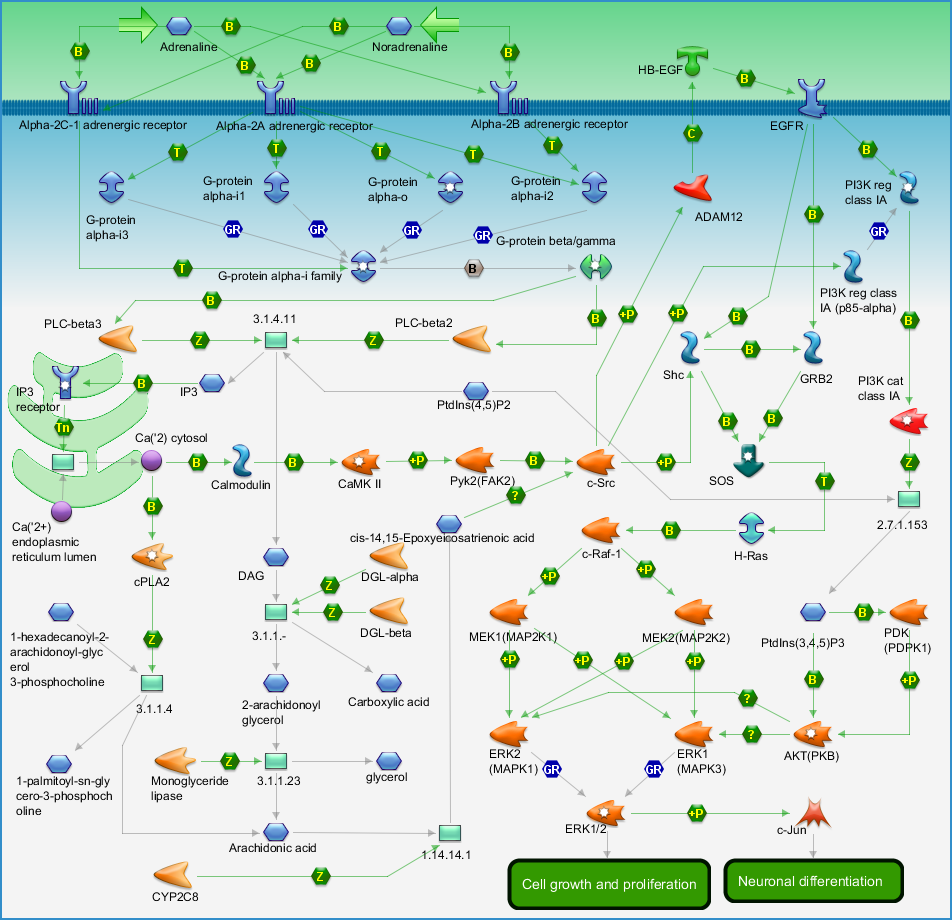 photo_map
