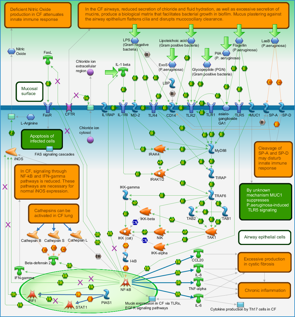 photo_map