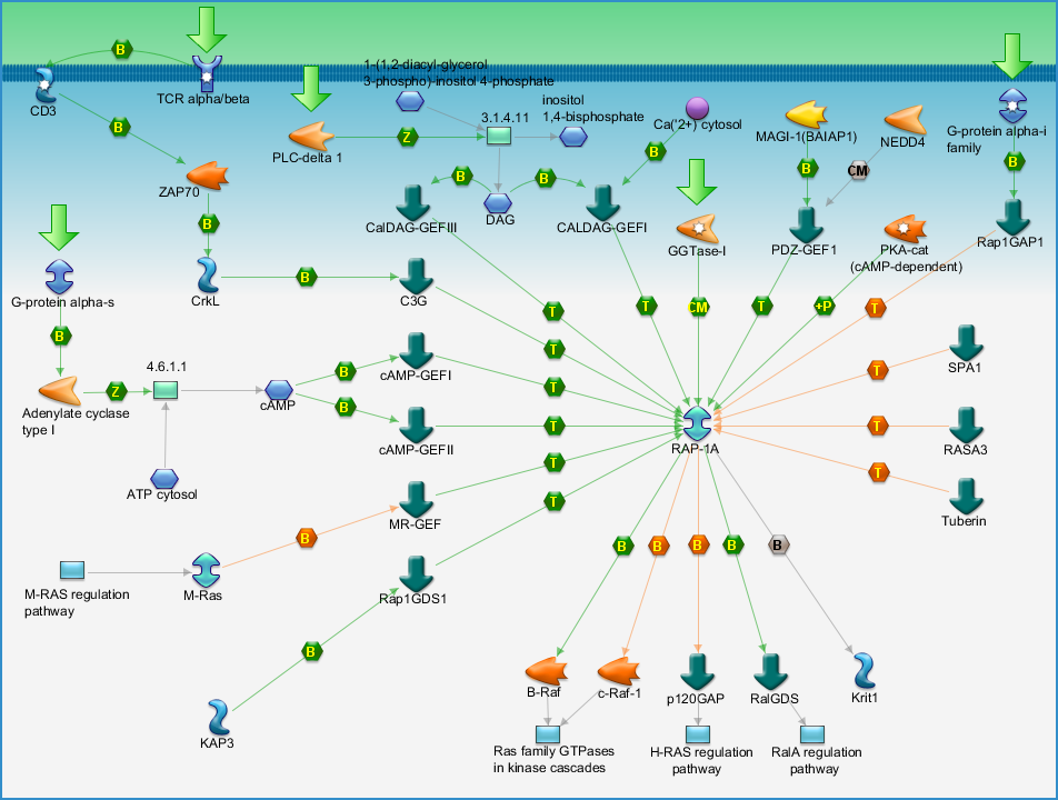 photo_map