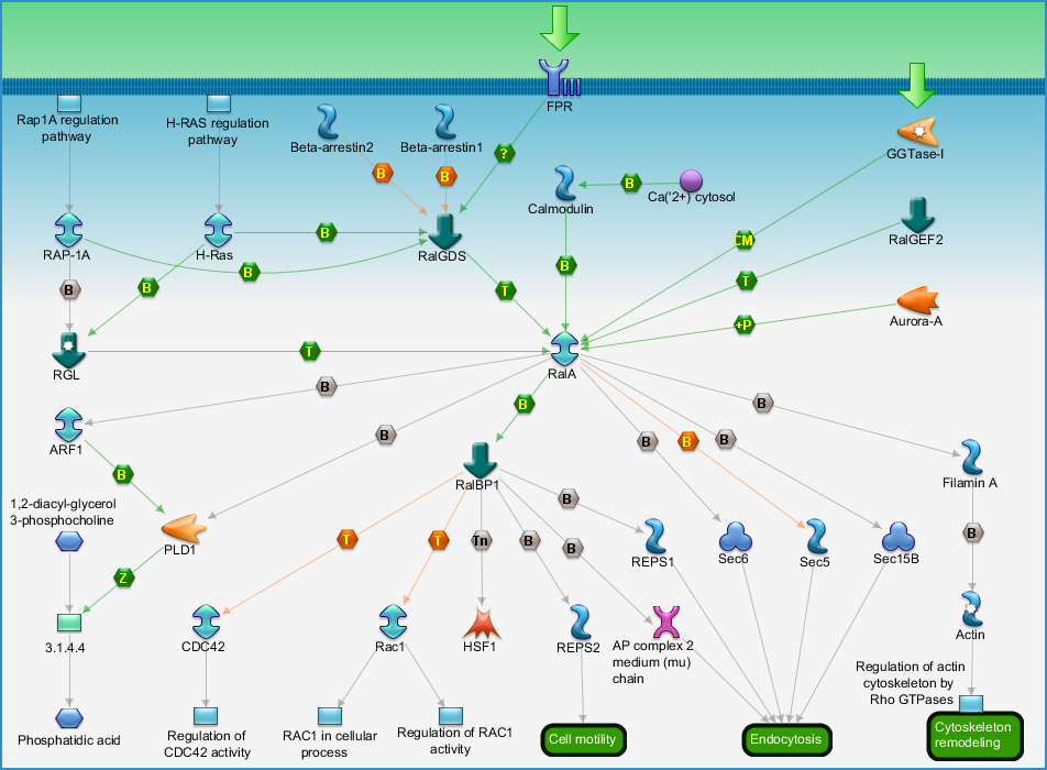 photo_map