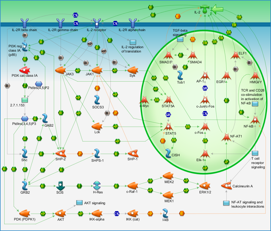 photo_map