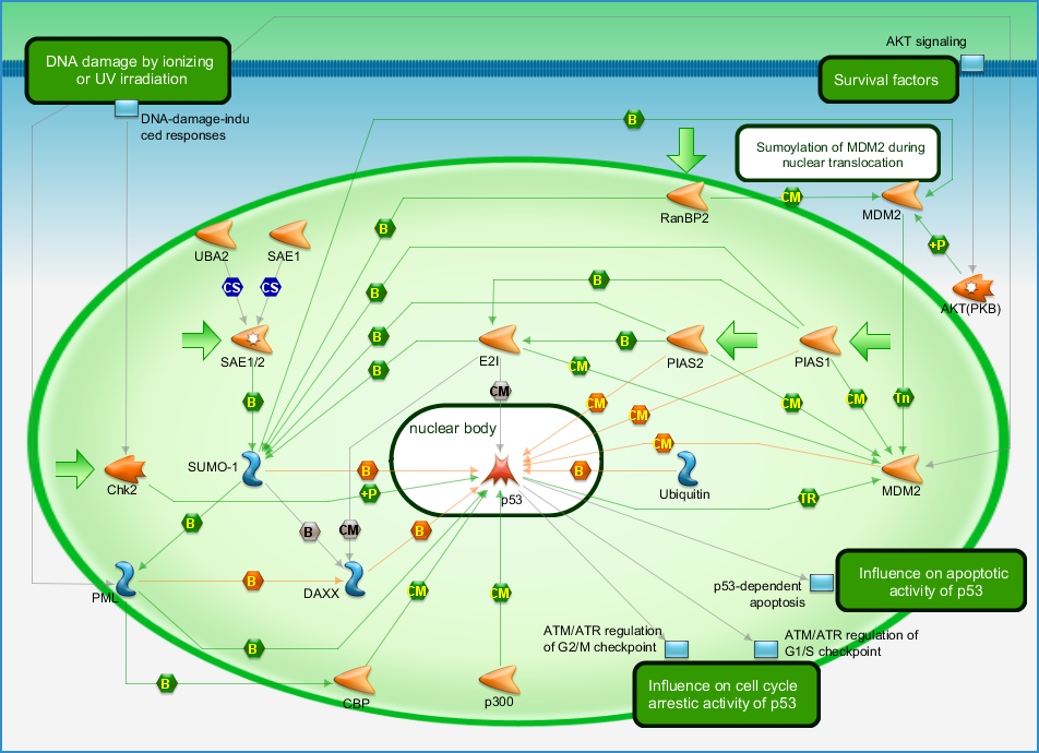 photo_map