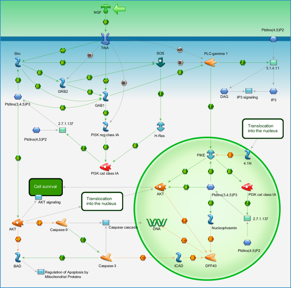 photo_map