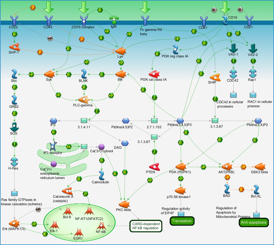photo_map