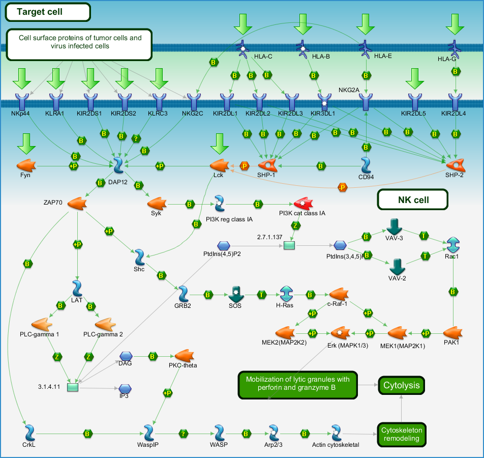 photo_map