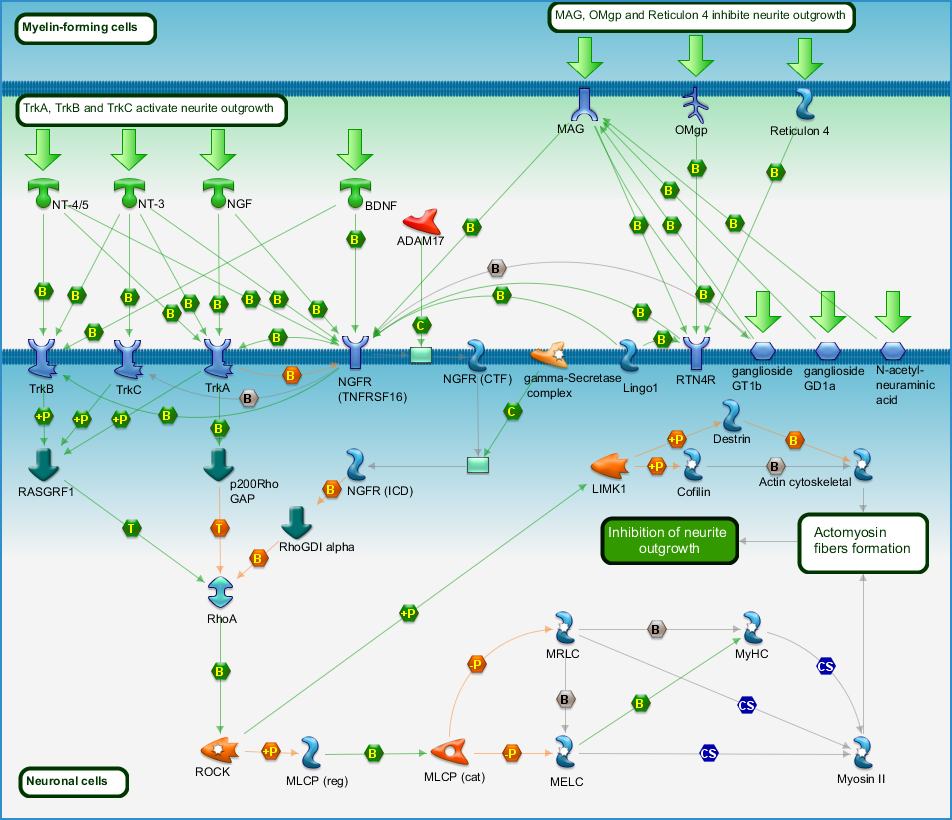 photo_map