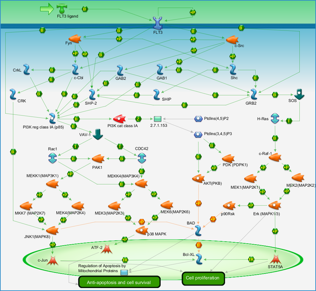 photo_map