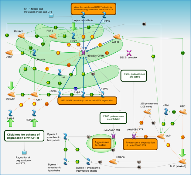 photo_map