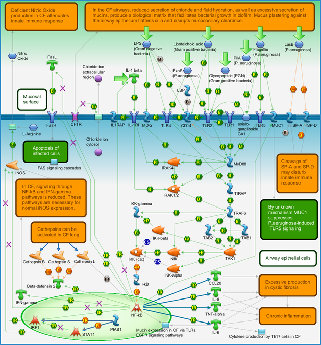 photo_map