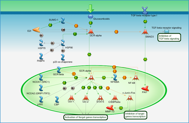 photo_map