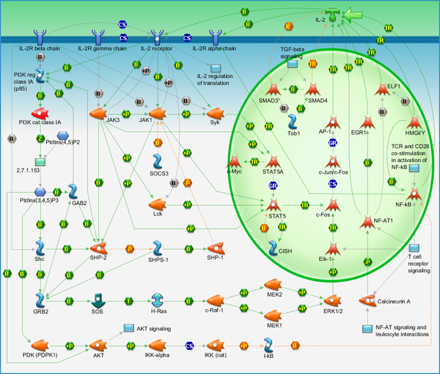 photo_map