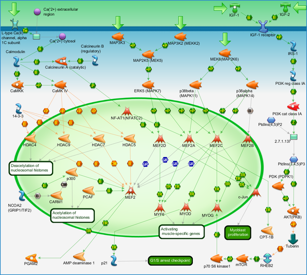 photo_map