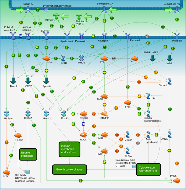 photo_map